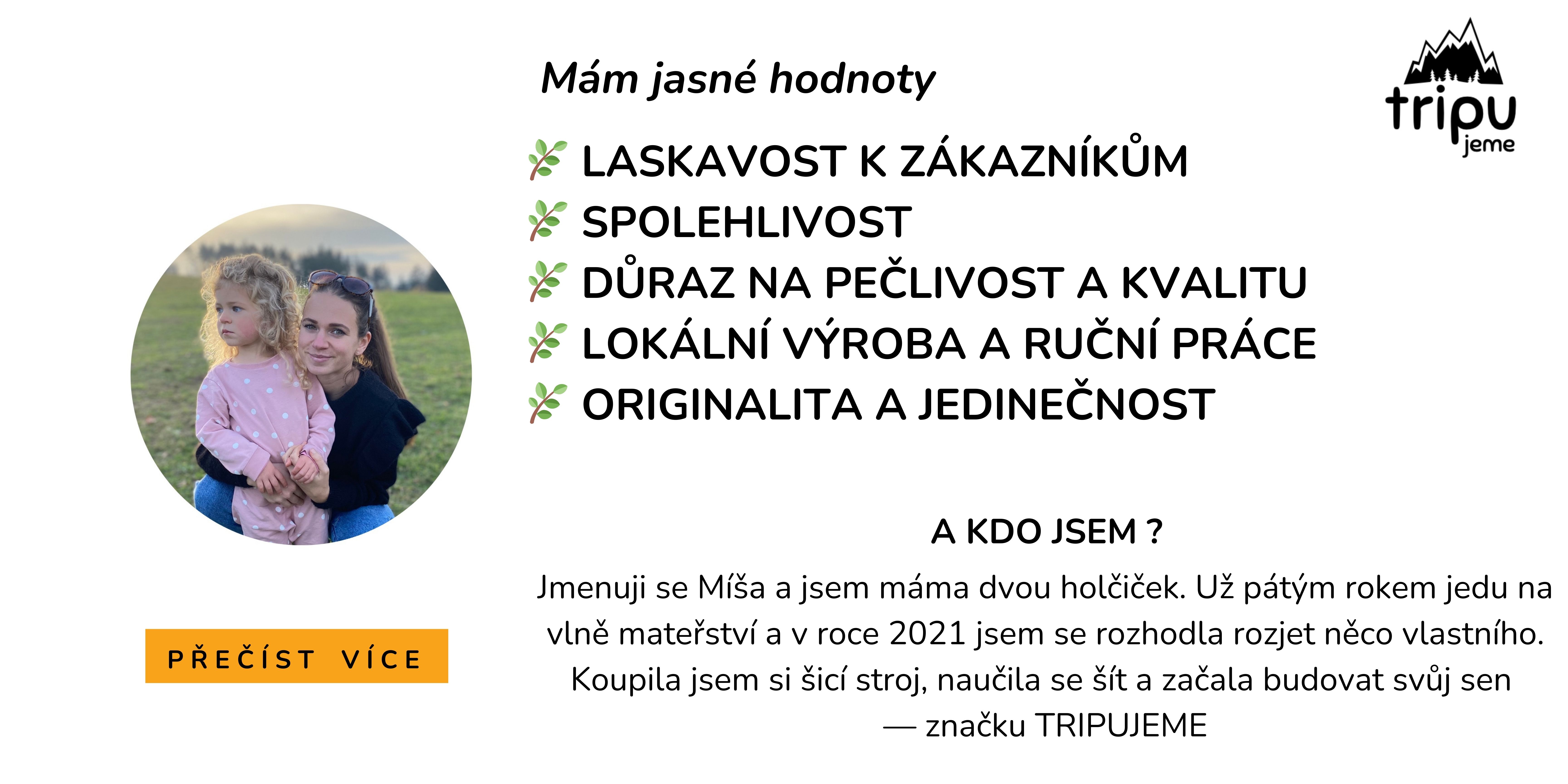 Kopie návrhu MÍŠA-2